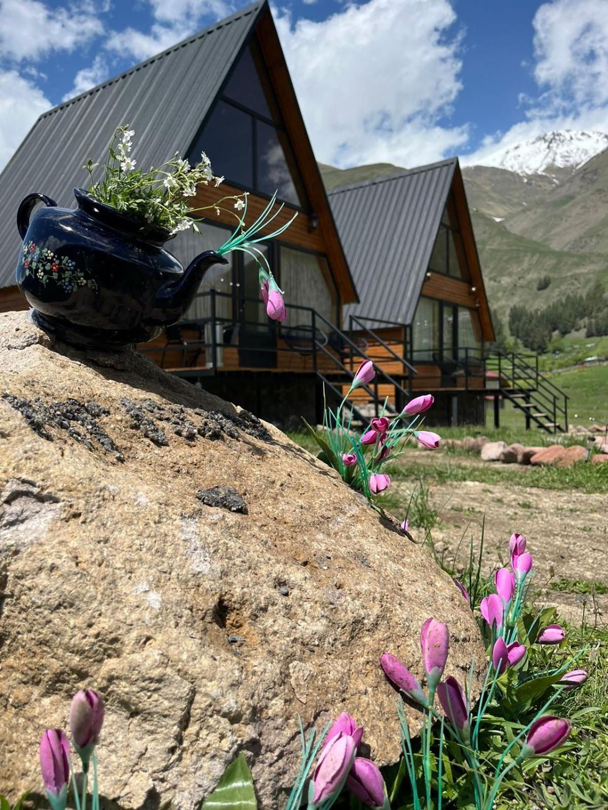Mtisguli Cottages Казбеги Экстерьер фото
