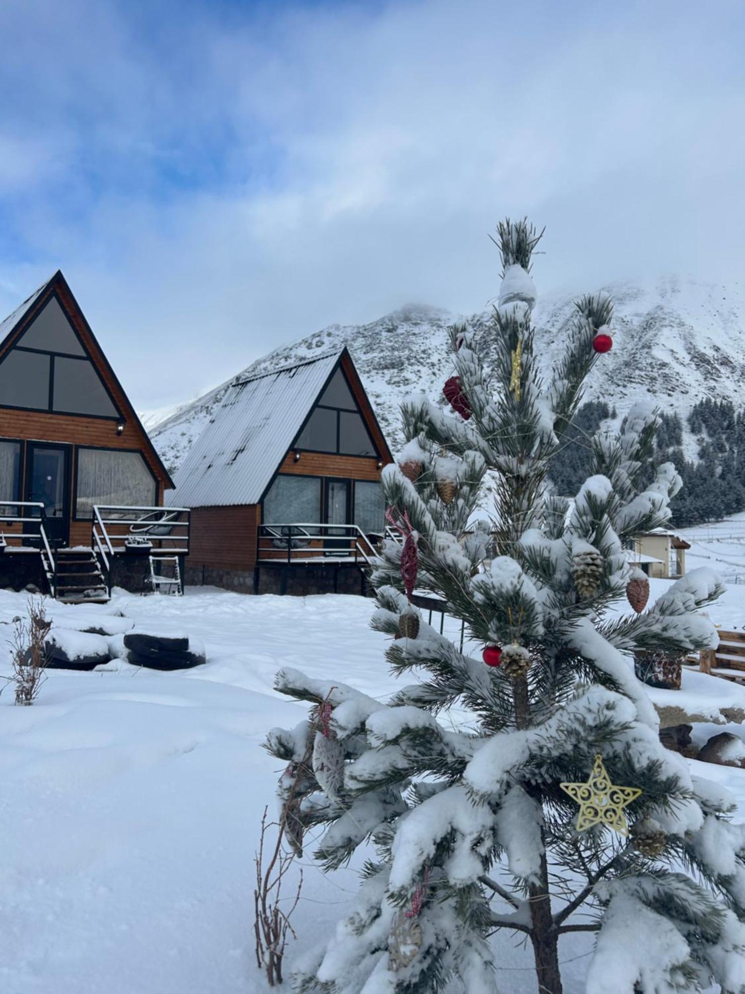 Mtisguli Cottages Казбеги Экстерьер фото